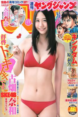 黑莲花攻略手册电视剧